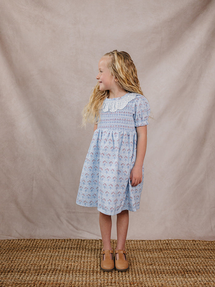 Blue Meadow Dress